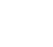 dewesoft2